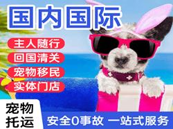 阿尔山空运国际宠物托运 【国
